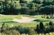 Golf Citrus / Hammamet / Tunisie