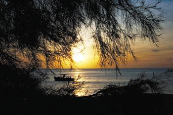 Hotel Bird Island Lodge 3 ***/ L'Île aux Oiseaux / Seychelles