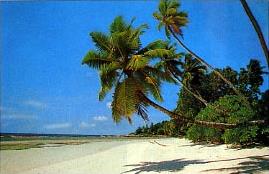 Hôtel La Maison des Palmes 2 ** / Seychelles - Plage