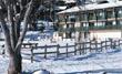 R&eacute;sidence Le S&eacute;quoia / Pyr&eacute;n&eacute;es 2000 / Pyr&eacute;n&eacute;es-Orientales