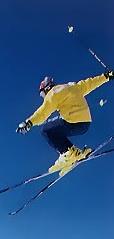 Le ski aux M�nuires