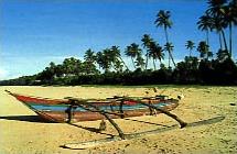 Circuit Terres Cinghalaises / Sri Lanka - Plage de Bentota