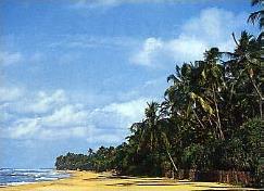 Hôtel Serendib Beach 3 *** sup. / Bentota / Sri Lanka / Plage