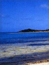 H�tel Little Key 4 **** / Saint-Martin - Plage