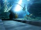 Les Excursions Famille &agrave; Bangkok / Un aquarium en pleine ville / Tha&iuml;lande