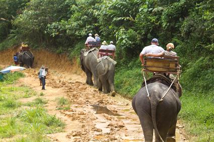 Les Excursions  Chiang Ma /  dos d'lphant / Thalande