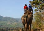 Les Excursions &agrave; Chiang Ma&iuml; / � dos d'&eacute;l&eacute;phant / Tha&iuml;lande