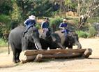 Les Excursions Famille &agrave; Chiang Ma&iuml; / Une aventure dans la jungle / Tha&iuml;lande