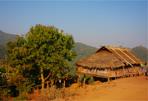 Les Excursions &agrave; Chiang Ra&iuml; et le Triangle d'Or / Le projet Royal de Doi Tung / Tha&iuml;lande