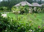 Hotel Layana Resort & Spa 4 **** / Koh Lanta / Tha&iuml;lande