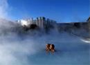 Spa Islande / Hotel Hilton Reykjavik Nordica & Blue Lagoon Spa 4 **** /  Reykjavik / Islande