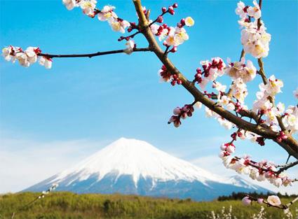 Tours du Monde / Du Mont Fuji au Mont Otemanu / Japon - Nouvelle-Caldonie - Polynsie Franaise