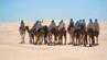 Circuit Mer et d�sert en 4x4 / Djerba  / Tunisie