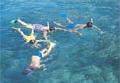 Bora Bora / Excursions / D&eacute;couverte du r&eacute;cif / Polyn&eacute;sie Fran&ccedil;aise