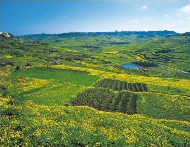 Vacances � Gozo
