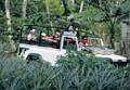 Huahine / Excursions / Safari 4X4 &agrave; Huahine / Polyn&eacute;sie Fran&ccedil;aise