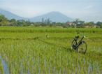 Les Circuits &agrave; Jogjakarta / Art de Vivre &agrave; la javanaise / Indon&eacute;sie