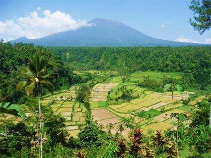 Les Circuits  Java / Kinahrejo, au sommet du volcan / Indonsie