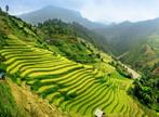 Les Excursions &agrave; Jogjakarta / Le village de Candi Rejo / Java