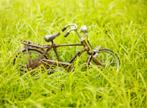 Les Excursions &agrave; Jogjakarta / Un temple et des v&eacute;los / Java
