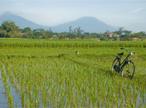 Les Excursions &agrave; Jogjakarta / Une Java &agrave; v&eacute;lo / Java