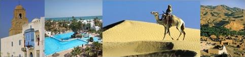 Hotel Skan�s Palace International 3 *** / Skan�s / Tunisie