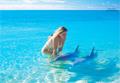Moor&eacute;a / Excursions / Rencontre avec les dauphins / Polyn&eacute;sie Fran&ccedil;aise