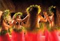 Moor&eacute;a / Excursions / Show Polyn&eacute;sien au Tiki Village / Polyn&eacute;sie Fran&ccedil;aise