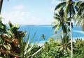 Raiatea / Excursions / Pique-nique sur le motu / Polyn&eacute;sie Fran&ccedil;aise