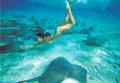 Rangiroa / Excursions / Observation sous-marine de la Passe de Tiputa / Polyn&eacute;sie Fran&ccedil;aise