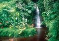 Tahiti / Excursions / Nature de la cote ouest de Tahiti / Polyn&eacute;sie Fran&ccedil;aise