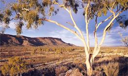 Alice Springs / Les Excursions Incontournables et Insolites / Australie