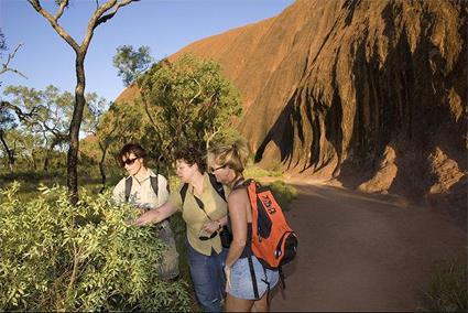 Ayers Rock / Excursions Incontournables / Monts Olgas et coucher du soleil sur Uluru / Australie