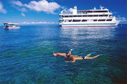 Croisire La Grande Barrire de Corail en Yacht  bord du Coral Princess / Cairns - Lizard Island / Le Queensland