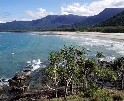 Cairns / Les Excursions Incontournables et Insolites / Journe  Cape Tribulation / Queensland