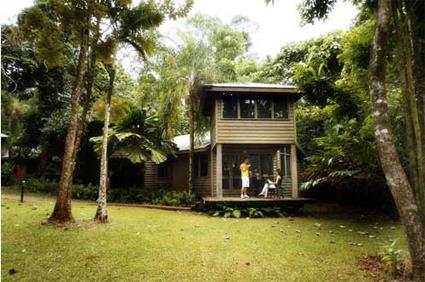 Ferntree Rainforest Lodge 3 *** / Cape Tribulation / Queensland