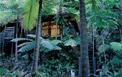Hotel Cape Tribulation Resort & Spa 4 **** / Cape Tribulation / Queensland