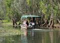 Circuit Davidson's Arnhemland Safari Camp / Le Top End / Australie 