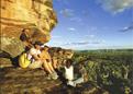 Circuit Puzzule Darwin et Kakadu / Le Top End / Australie 