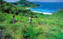 Brampton Island / Whitsunday Islands / Queensland