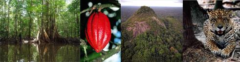 Hotel Best Western Amazonia 3 *** / Cayenne / Guyane