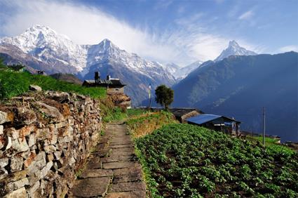 Des Annapurna au Tera Les Excursions / Petit trek au plus prs des Annapurna / Npal 