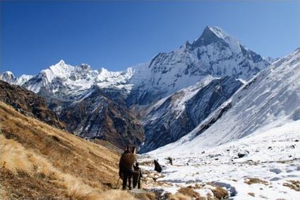 Les Excursions  Katmandou / Les Himalaya vues du ciel / Npal