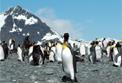 Croisi&egrave;re 20 jours le monde des grands explorateurs / Antarctique