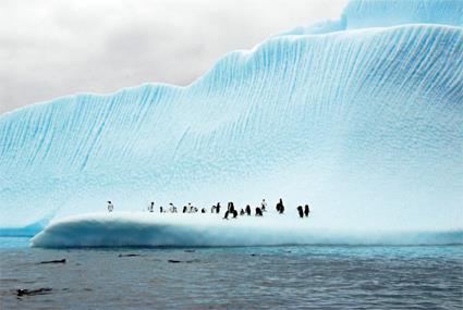 GROENLAND, SPITZBERG ET ANTARCTIQUE / A bord du Navire MS Fram / Norvège