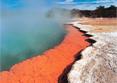 Circuit Puzzle Geysers et Terre Maori / �le du Nord / Nouvelle Z&eacute;lande