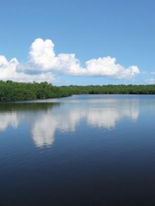 Excursion dans la journe / Les Everglades / Floride