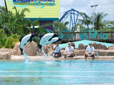 Attraction Aquatica Seaworld's Waterpark / Orlando / Floride