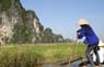 Circuit incontournable '' Jonques et rizi�res ''/  Vietnam