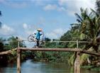 Les Excursions &agrave; Hanoi / Le Tonkin des champs / Vietnam